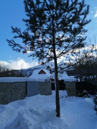 Domek Zakopianska Chata Zakopane Buitenkant foto